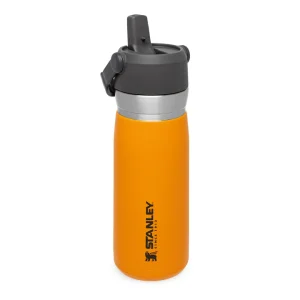 بطری استنلی سری گو مدل فلیپ استراو STANLEY GO FLIP STRAW WATER BOTTLE 0.65L